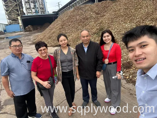 Super High UV MDF Shiny MDF for Making Tables or Cabinets